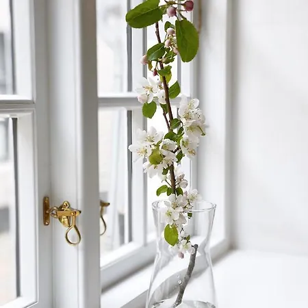 Grosse 73, Apartment *